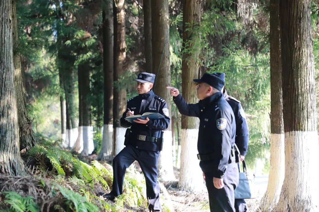 恩施公安构建系统性生态警务机制 守护长江入鄂第一站的绿水青山